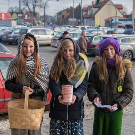 Wyświetl org. rozmiar