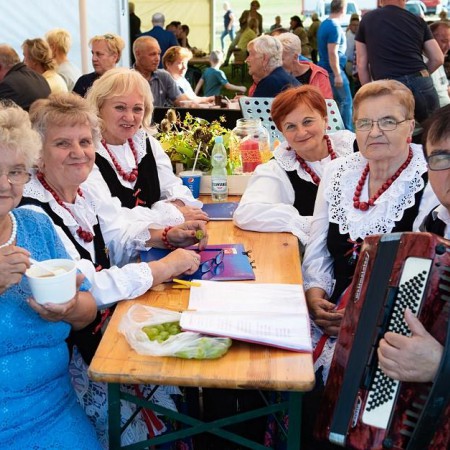 Wyświetl org. rozmiar