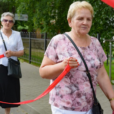 Wyświetl org. rozmiar
