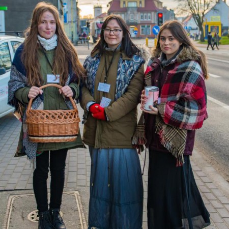 Wyświetl org. rozmiar