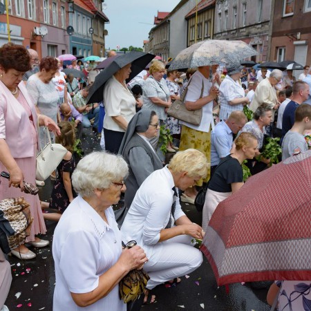 Wyświetl org. rozmiar