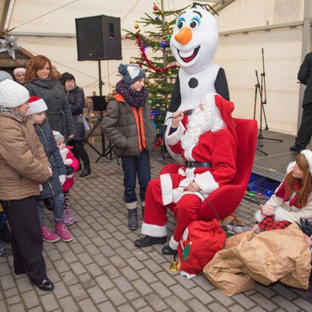 Wyświetl org. rozmiar