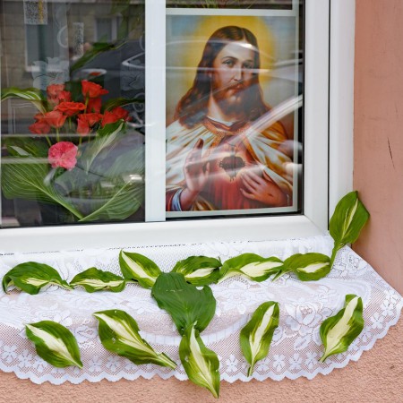 Wyświetl org. rozmiar