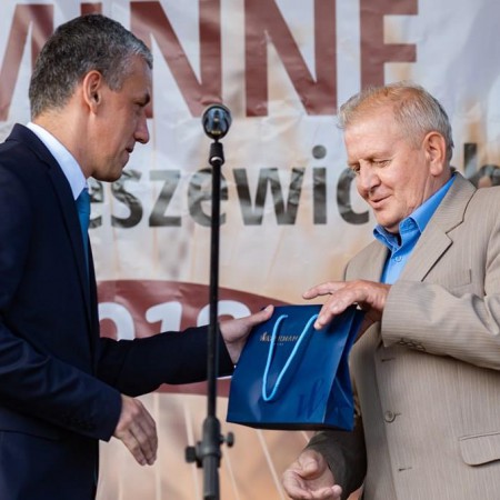 Wyświetl org. rozmiar