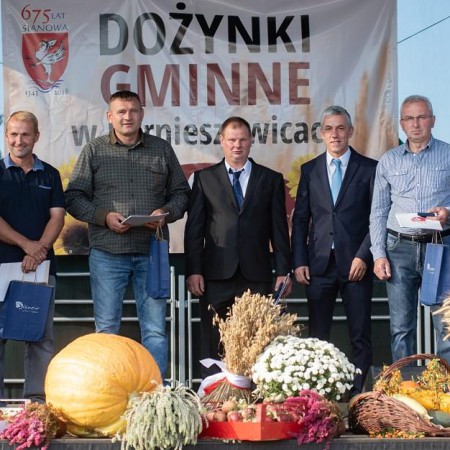 Wyświetl org. rozmiar
