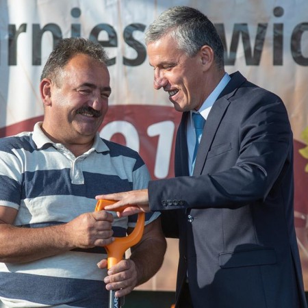Wyświetl org. rozmiar