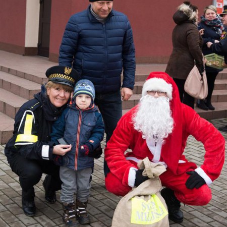Wyświetl org. rozmiar