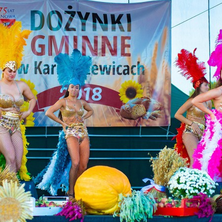 Wyświetl org. rozmiar
