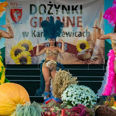 Wyświetl org. rozmiar