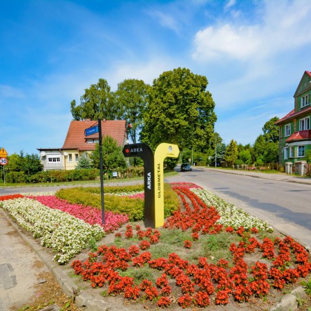 Wyświetl org. rozmiar