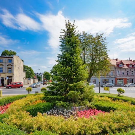 Wyświetl org. rozmiar