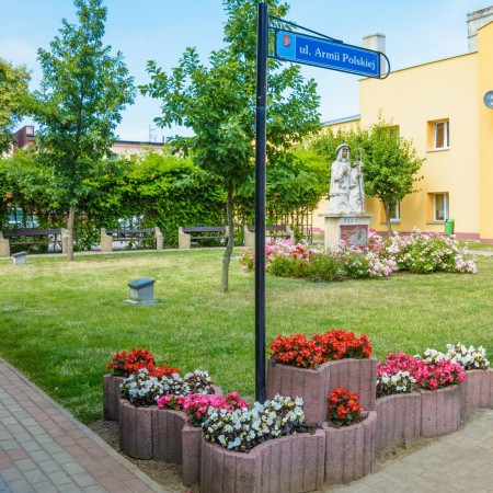Wyświetl org. rozmiar
