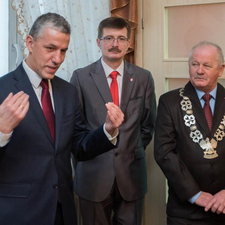 Wyświetl org. rozmiar