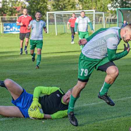 Wyświetl org. rozmiar
