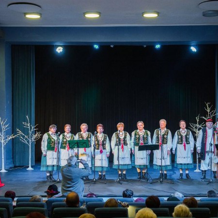 Wyświetl org. rozmiar