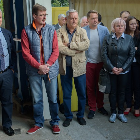 Wyświetl org. rozmiar