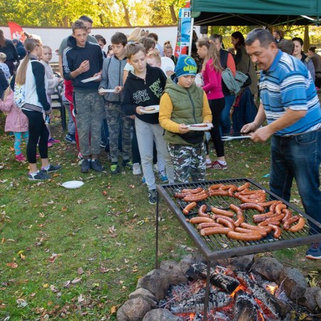 Wyświetl org. rozmiar