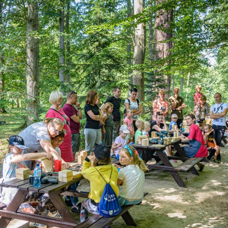 Wyświetl org. rozmiar