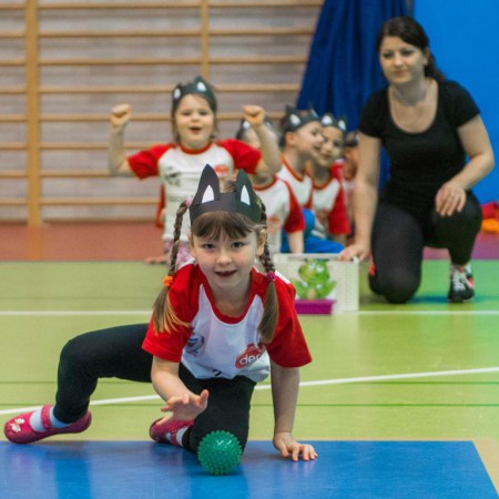 Wyświetl org. rozmiar