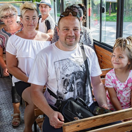 Wyświetl org. rozmiar