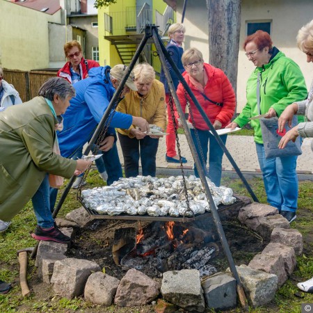Wyświetl org. rozmiar