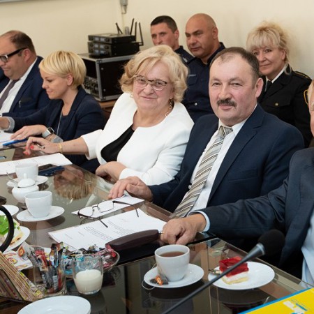 Wyświetl org. rozmiar