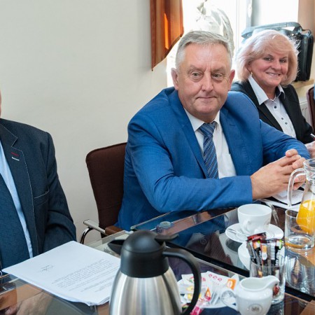 Wyświetl org. rozmiar