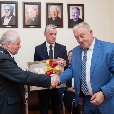 Wyświetl org. rozmiar