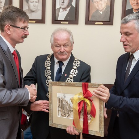 Wyświetl org. rozmiar