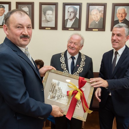 Wyświetl org. rozmiar