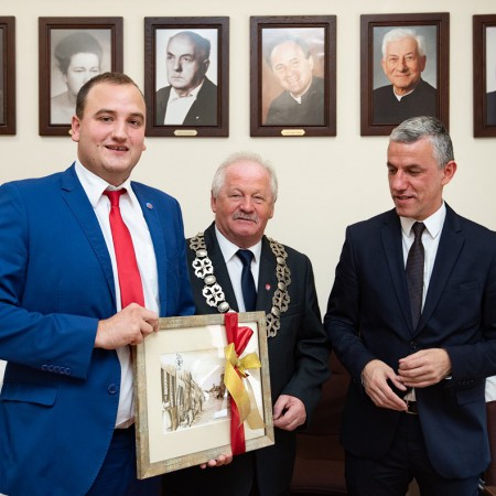 Wyświetl org. rozmiar