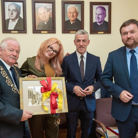 Wyświetl org. rozmiar