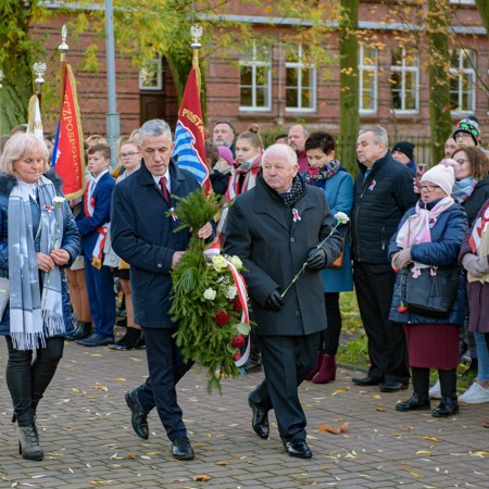 Wyświetl org. rozmiar
