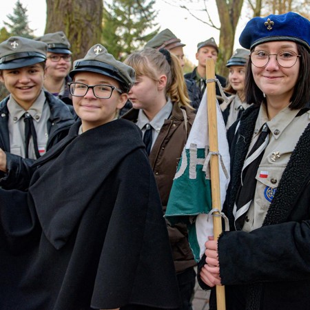 Wyświetl org. rozmiar