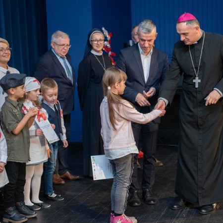 Wyświetl org. rozmiar