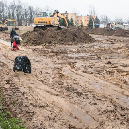 Wyświetl org. rozmiar