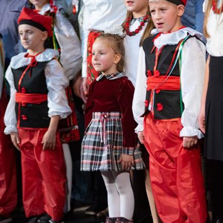 Wyświetl org. rozmiar