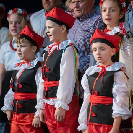Wyświetl org. rozmiar