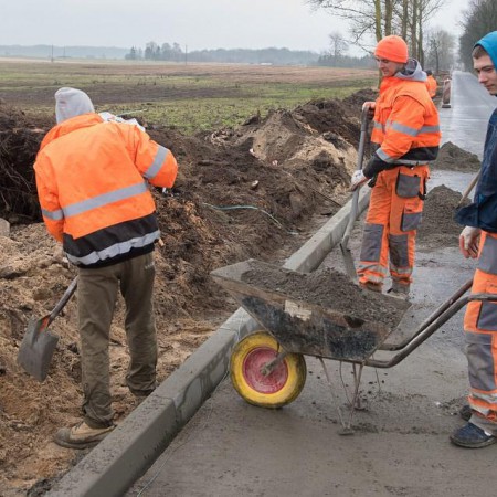 Wyświetl org. rozmiar