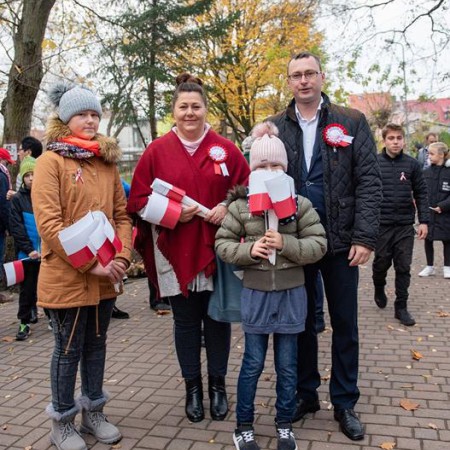 Wyświetl org. rozmiar