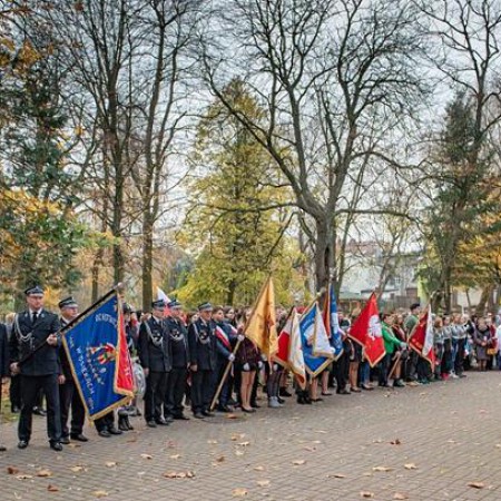 Wyświetl org. rozmiar