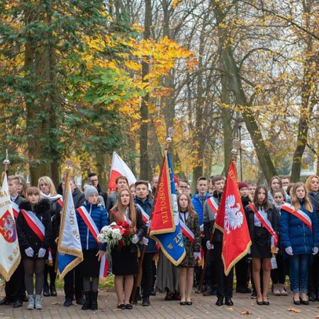 Wyświetl org. rozmiar