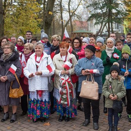 Wyświetl org. rozmiar