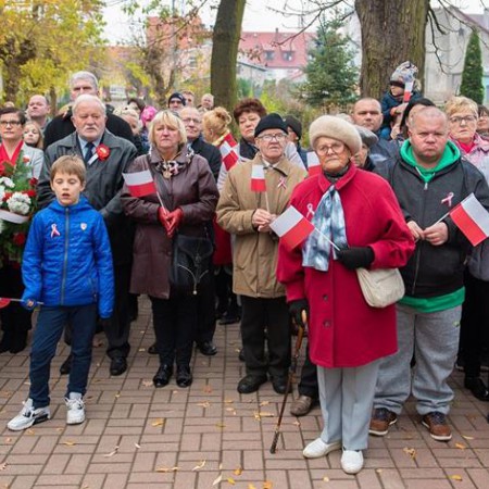 Wyświetl org. rozmiar