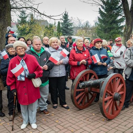 Wyświetl org. rozmiar