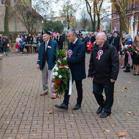 Wyświetl org. rozmiar