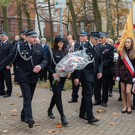 Wyświetl org. rozmiar