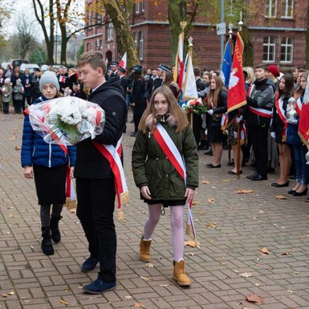 Wyświetl org. rozmiar