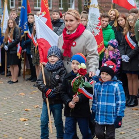 Wyświetl org. rozmiar