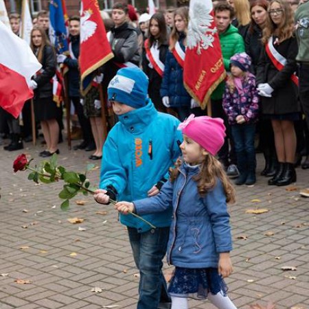 Wyświetl org. rozmiar